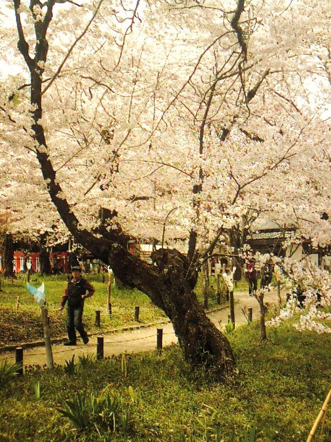 Orange Inn Kyoto Eksteriør billede